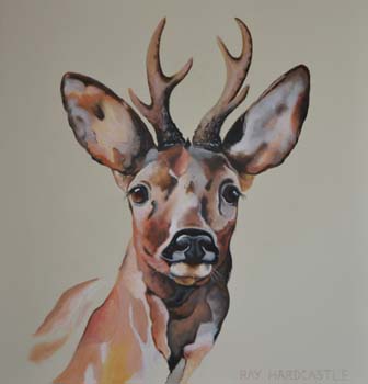 the roe deer